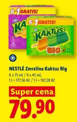 Lidl NESTLÉ Zmrzlina Kaktus Big nabídka