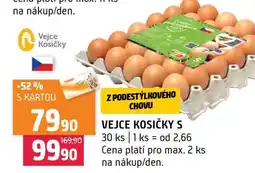 Terno VEJCE KOSIČKY S nabídka
