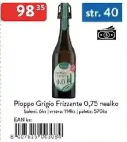 Qanto Pioppo Grigio Frizzante nealko nabídka
