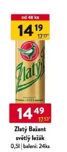 Qanto Zlatý Bažant světlý ležák nabídka