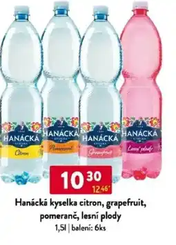 Qanto Hanácká kyselka citron, grapefruit, pomeranč, lesní plody nabídka