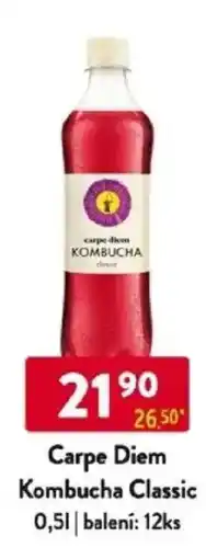 Qanto Carpe Diem Kombucha Classic nabídka