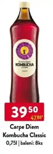 Qanto Carpe Diem Kombucha Classic nabídka