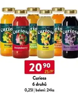 Qanto Curiosa 6 druhů nabídka