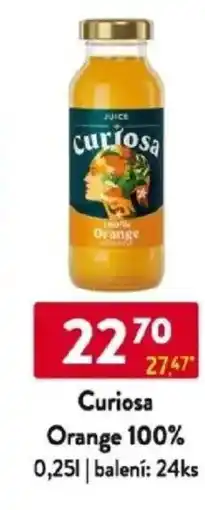 Qanto Curiosa Orange 100% nabídka