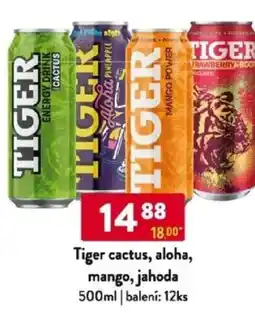 Qanto Tiger cactus, aloha, mango, jahoda nabídka