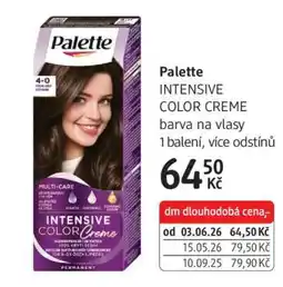 dm drogerie Palette nabídka