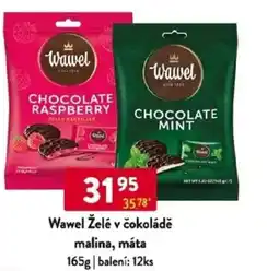Qanto Wawel Želé v čokoládě malina, máta nabídka