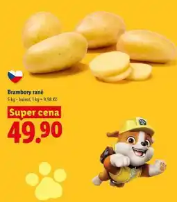 Lidl Brambory rané nabídka