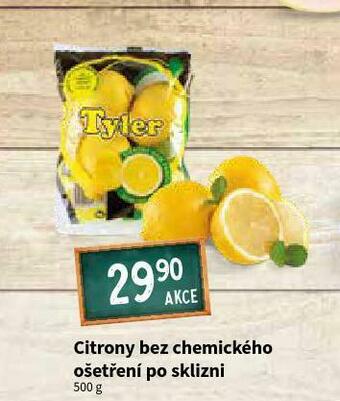 Terno Citrony nabídka