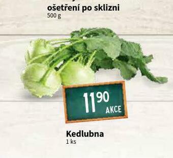 Terno Kedlubna nabídka