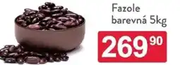 Qanto Fazole barevná nabídka