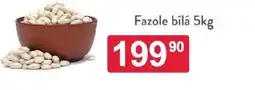Qanto Fazole bílá nabídka