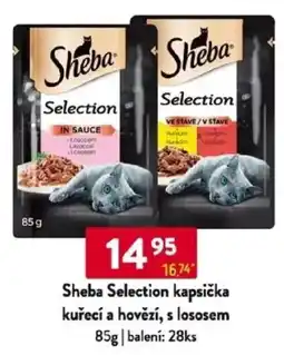 Qanto Sheba Selection kapsička kuřecí a hovězí, s lososem nabídka