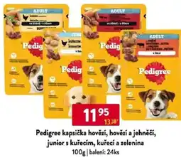 Qanto Pedigree kapsička hovězí, hovězí a jehněčí, junior s kuřecím, kuřecí a zelenina nabídka