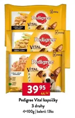 Qanto Pedigree Vital kapsičky 3 druhy nabídka