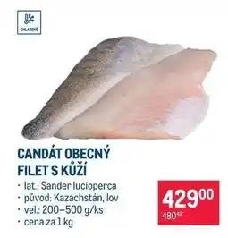Makro Candát obecný filet s kůží nabídka