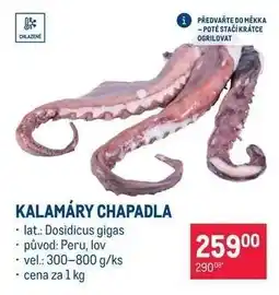 Makro Kalamáry chapadla nabídka
