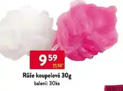 Qanto Růže koupelová nabídka