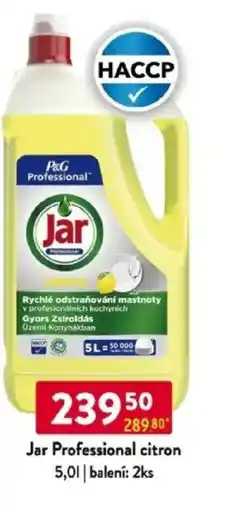 Qanto Jar Professional citron nabídka