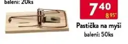 Qanto Pastička na myši nabídka