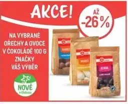 Globus Na vybrané ořechy a ovoce v čokoládě značky Váš Výběr nabídka