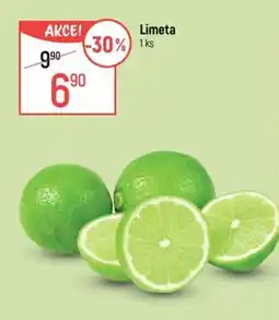 Globus Limeta nabídka