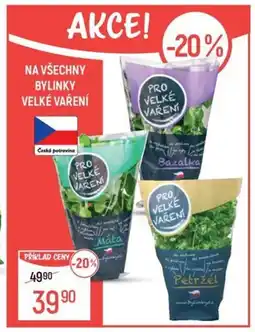 Globus Na všechny bylinky velké vaření nabídka