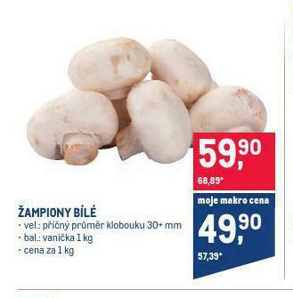 Makro Žampiony nabídka