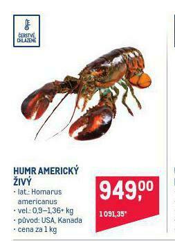 Makro Humr americký nabídka