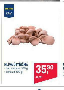 Makro Hlíva ústřičná nabídka