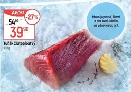 Globus Tuňák žlutoploutvý nabídka