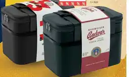 Globus Budweiser Budvar nabídka