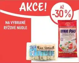 Globus Na vybrané rýžové nudle nabídka