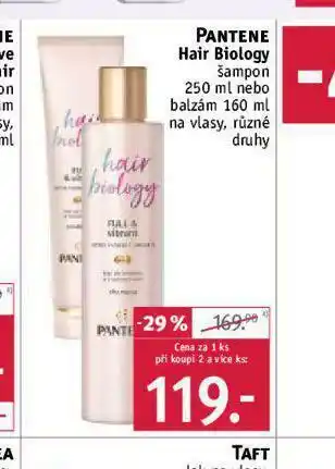 Rossmann Pantene hair biology šampon, balzám nabídka