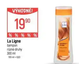 Globus La Ligne šampon nabídka
