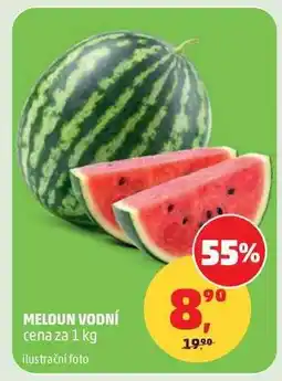 Penny Market MELOUN VODNÍ nabídka