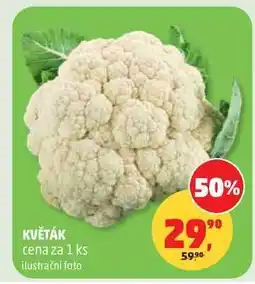 Penny Market Květák nabídka