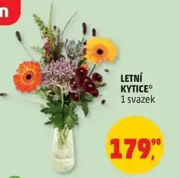 Penny Market LETNÍ KYTICE nabídka