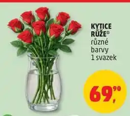Penny Market Kytice Růže nabídka