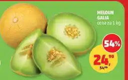 Penny Market Meloun Galia nabídka