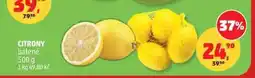 Penny Market CITRONY balené | nabídka
