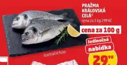 Penny Market Pražma královská celá nabídka