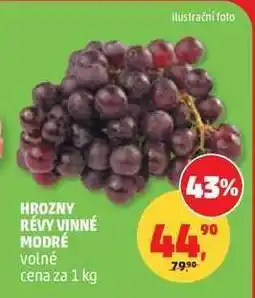 Penny Market HROZNY RÉVY VINNÉ MODRÉ nabídka