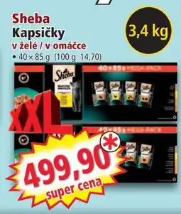 Norma Sheba Kapsičky nabídka