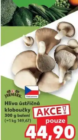 Kaufland Hlíva ústřičná kloboučky nabídka