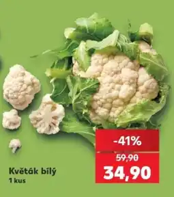 Kaufland Květák bílý nabídka