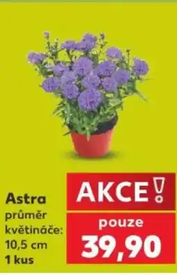 Kaufland Astra nabídka