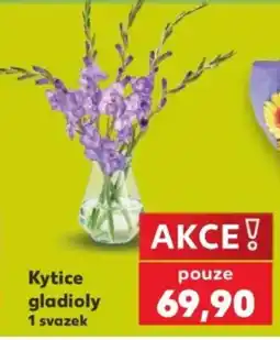 Kaufland Kytice gladioly nabídka