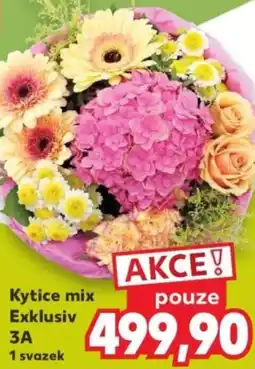 Kaufland Kytice mix Exklusiv 3A nabídka